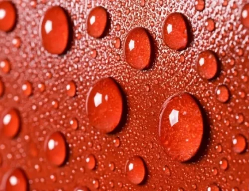 Understanding the Impact of Humidity and Moisture on Coated Fabrics